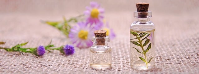naturopa 4 naturopa 4